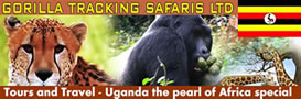 GORILLA TRACKING SAFARIS